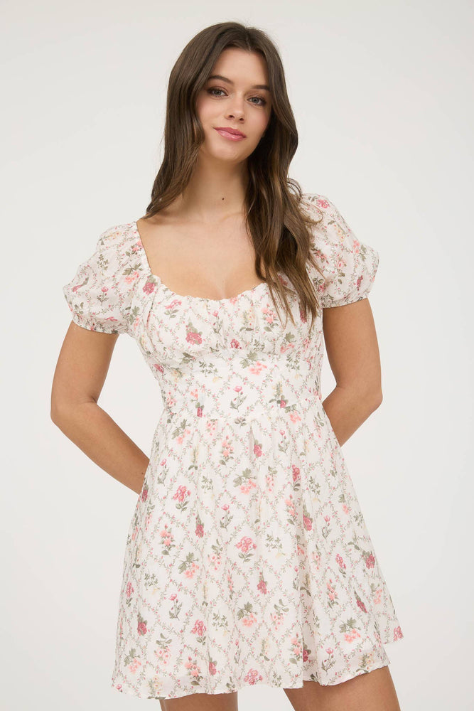 Ivy Trellis Corset Mini Dress