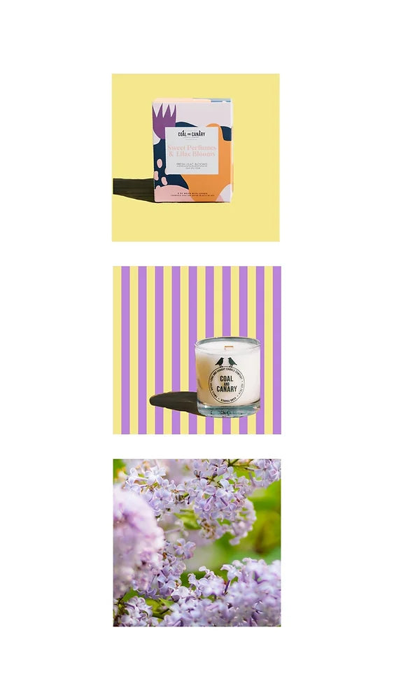 Sweet Perfumes & Lilac Blooms